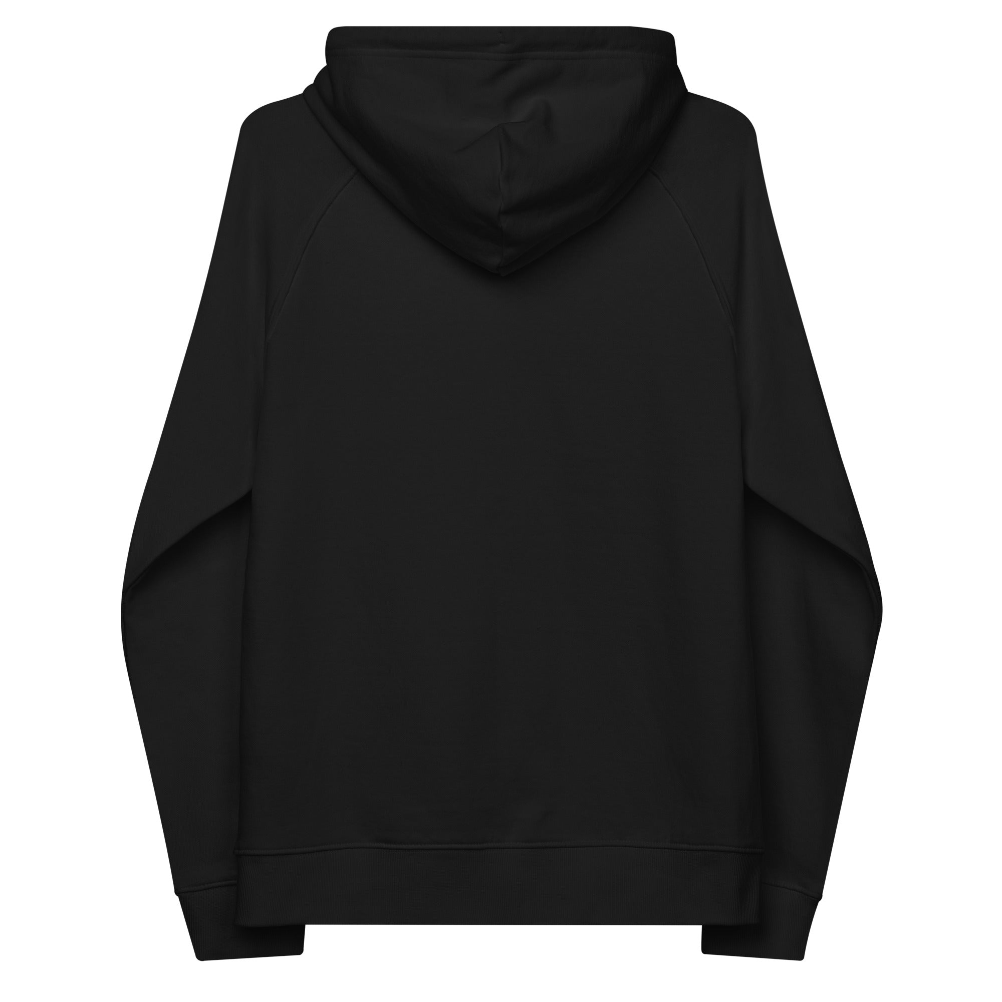 RILEY RU Embroidered Logo Unisex Eco Raglan Hoodie
