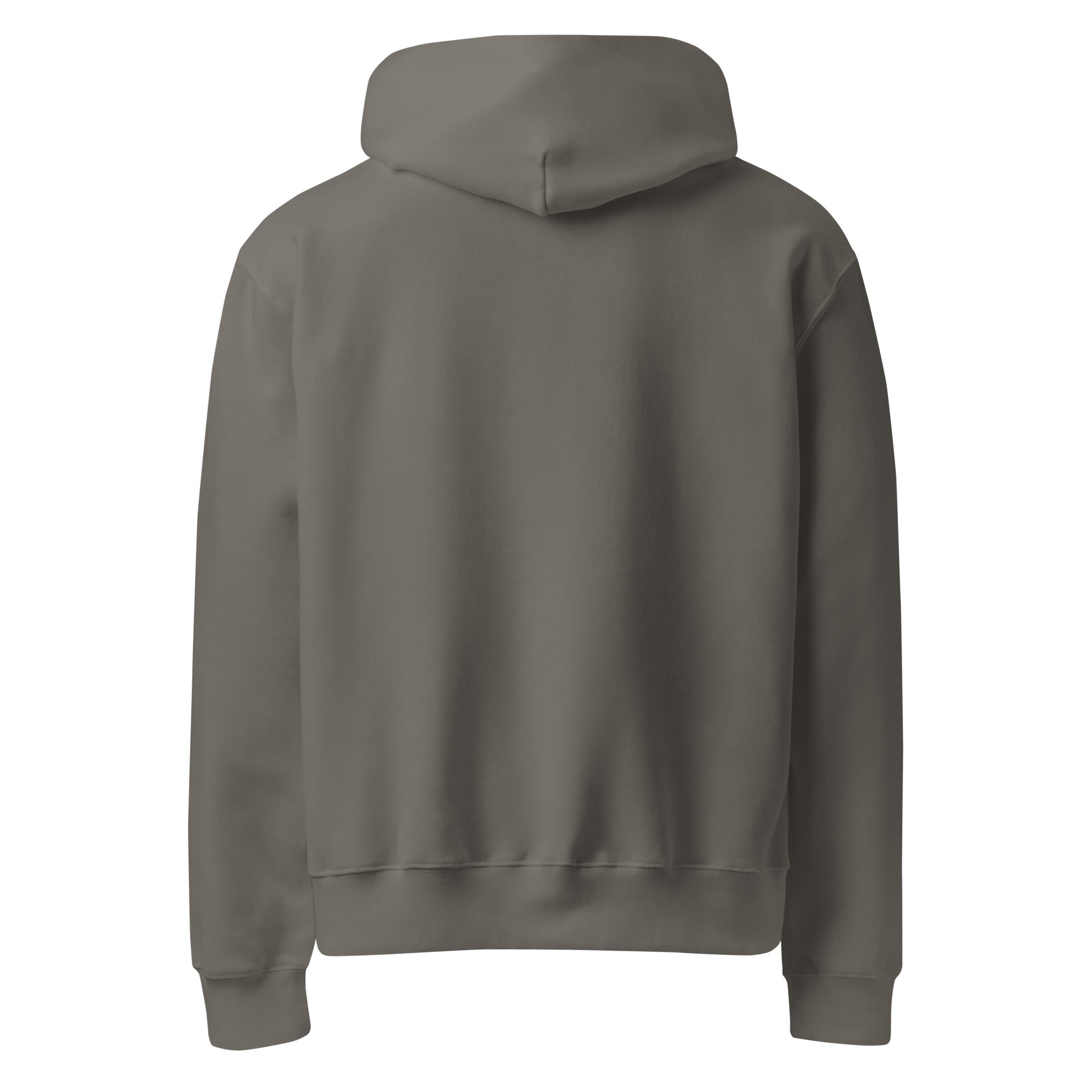 RILEY RU Embroidered Logo Oversized Heavyweight Hoodie