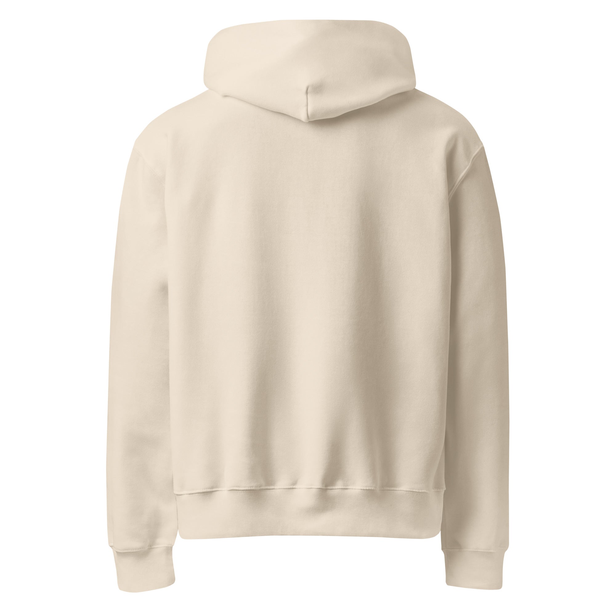 RILEY RU Embroidered Logo Oversized Heavyweight Hoodie