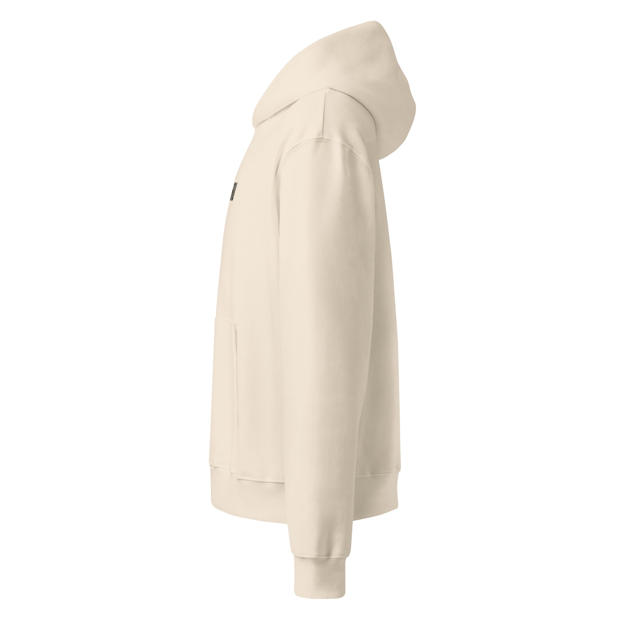 RILEY RU Embroidered Logo Oversized Heavyweight Hoodie