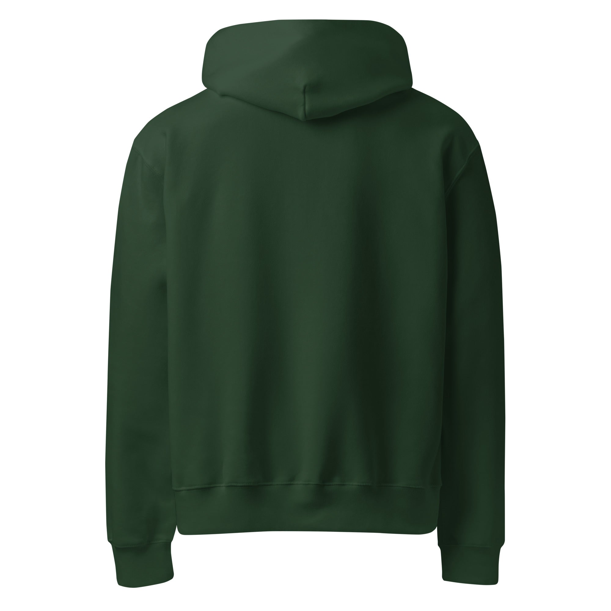 RILEY RU Embroidered Logo Oversized Heavyweight Hoodie