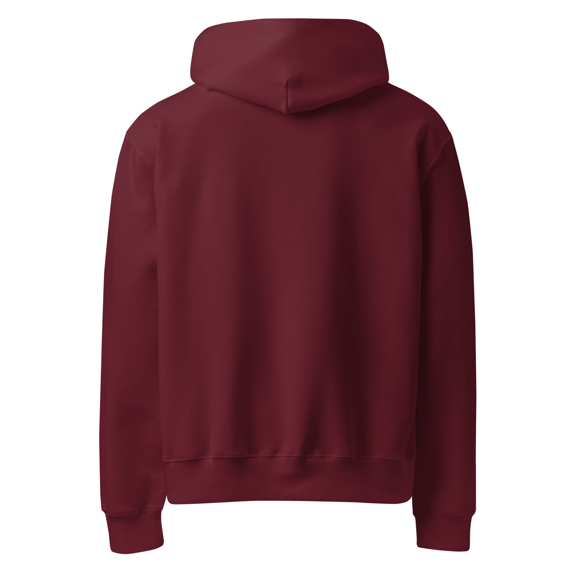 RILEY RU Embroidered Logo Oversized Heavyweight Hoodie