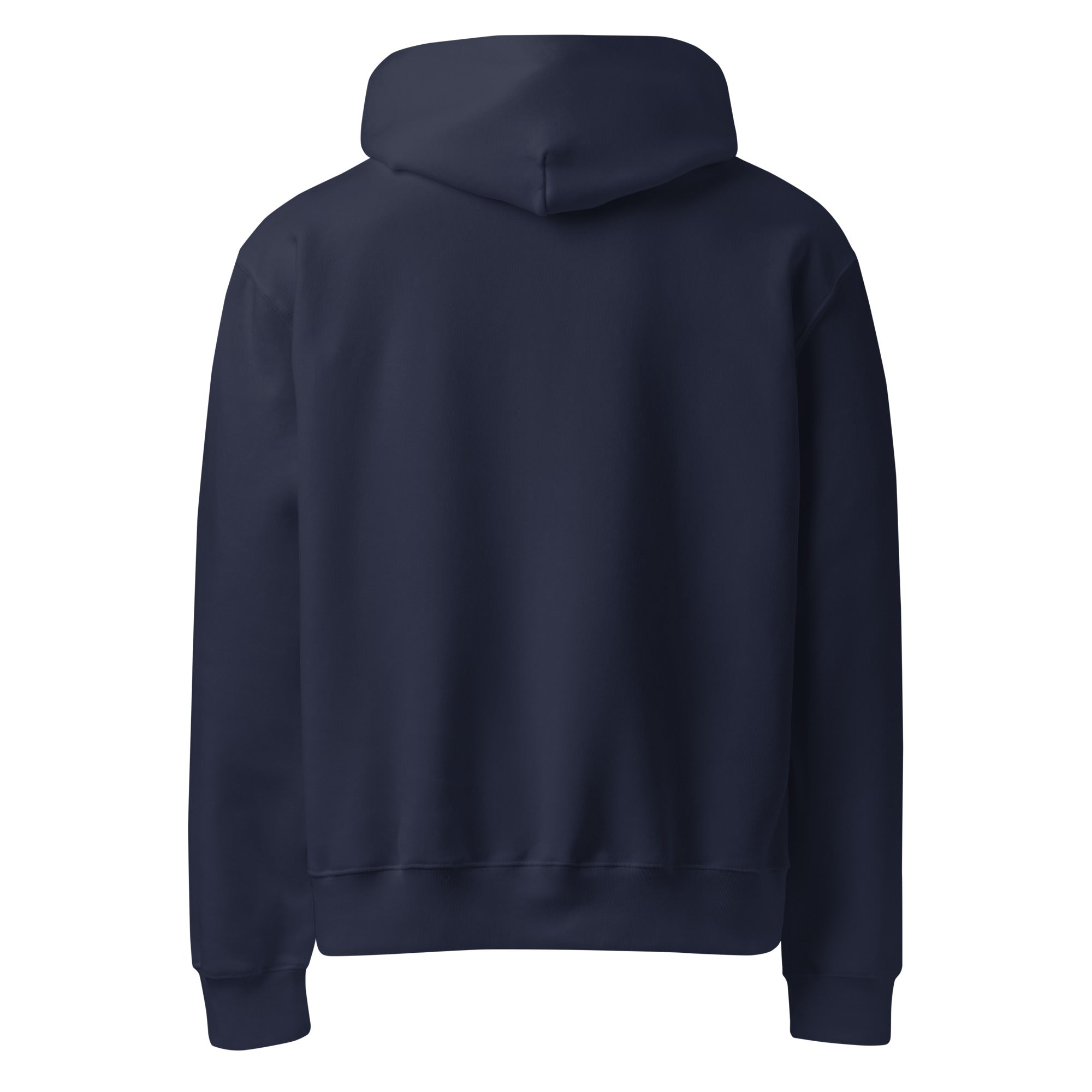 RILEY RU Embroidered Logo Oversized Heavyweight Hoodie
