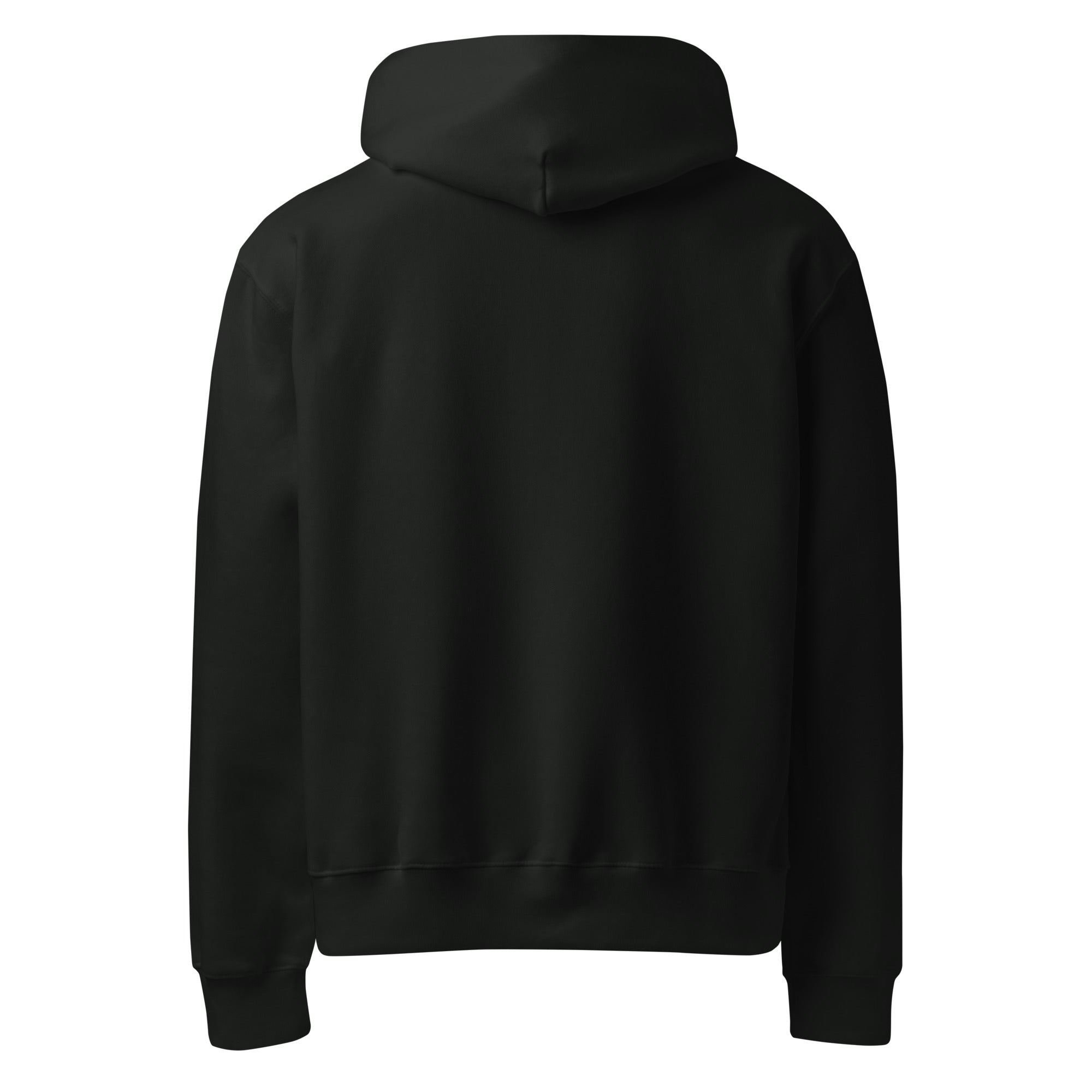RILEY RU Embroidered Logo Oversized Heavyweight Hoodie