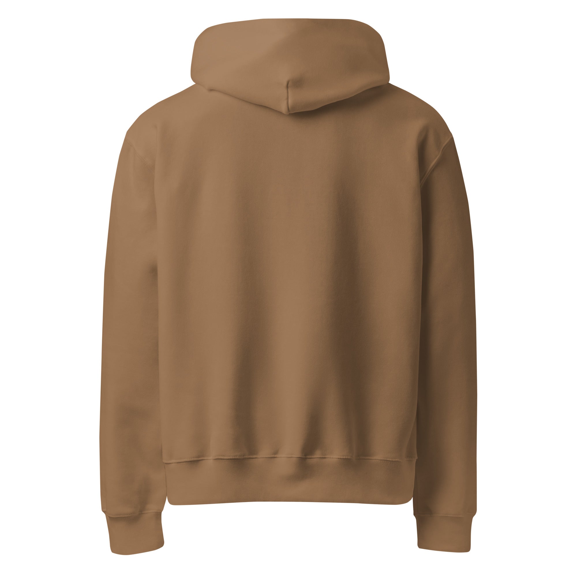 RILEY RU Embroidered Logo Oversized Heavyweight Hoodie