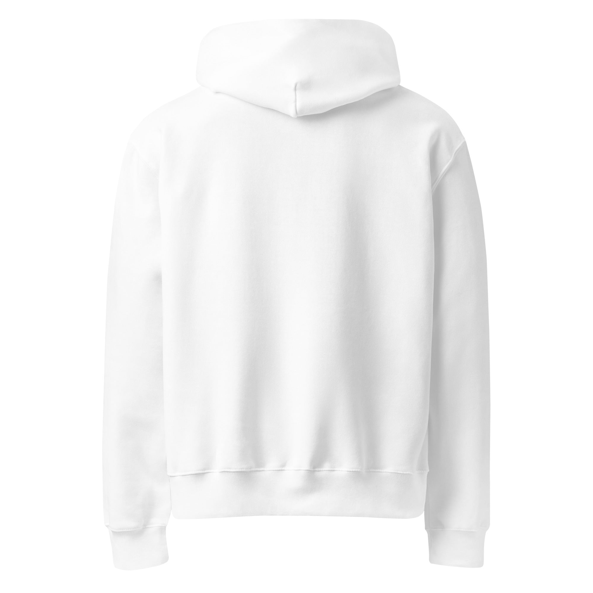 RILEY RU Embroidered Logo Oversized Heavyweight Hoodie