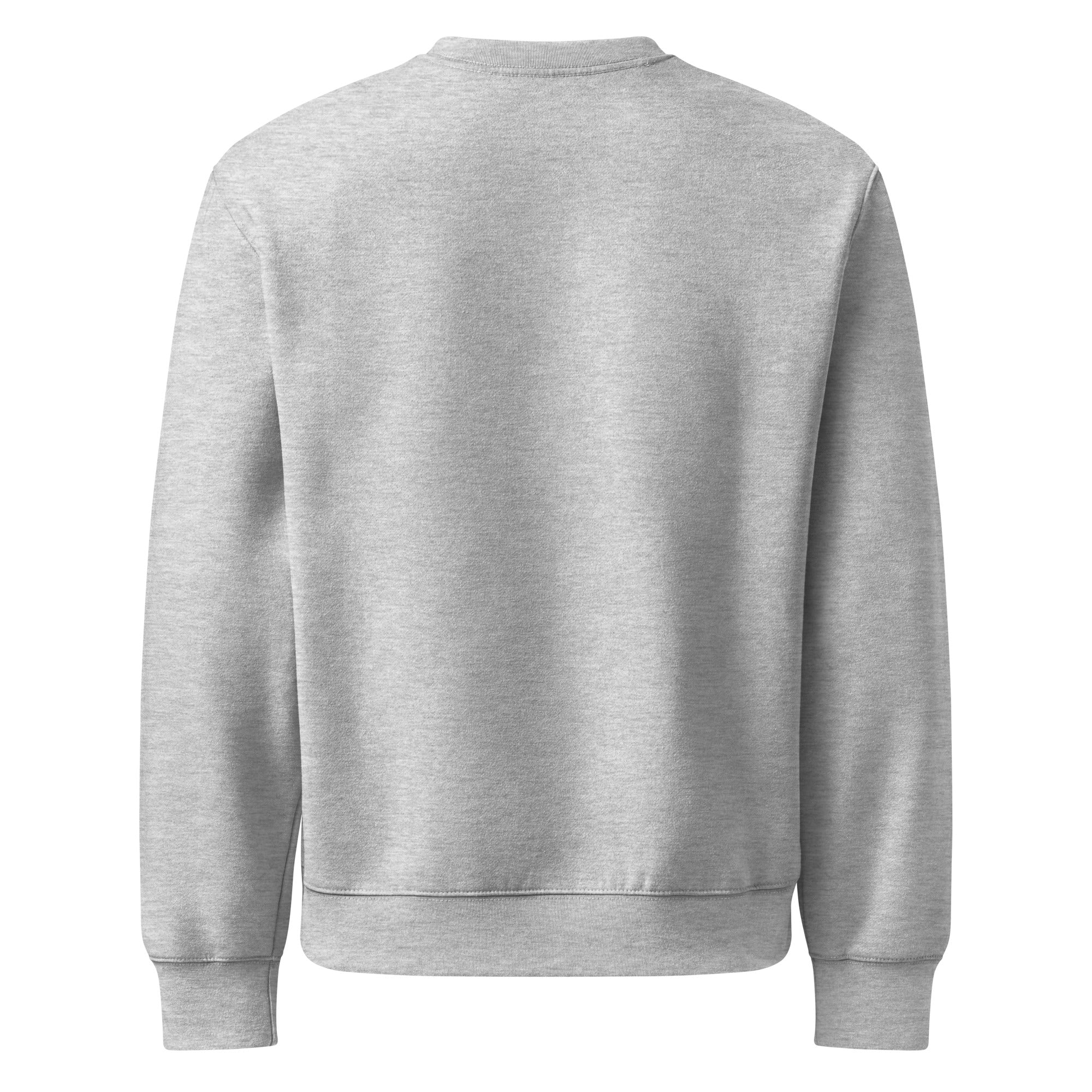 RILEY RU Embroidered Oversized Heavyweight Sweatshirt