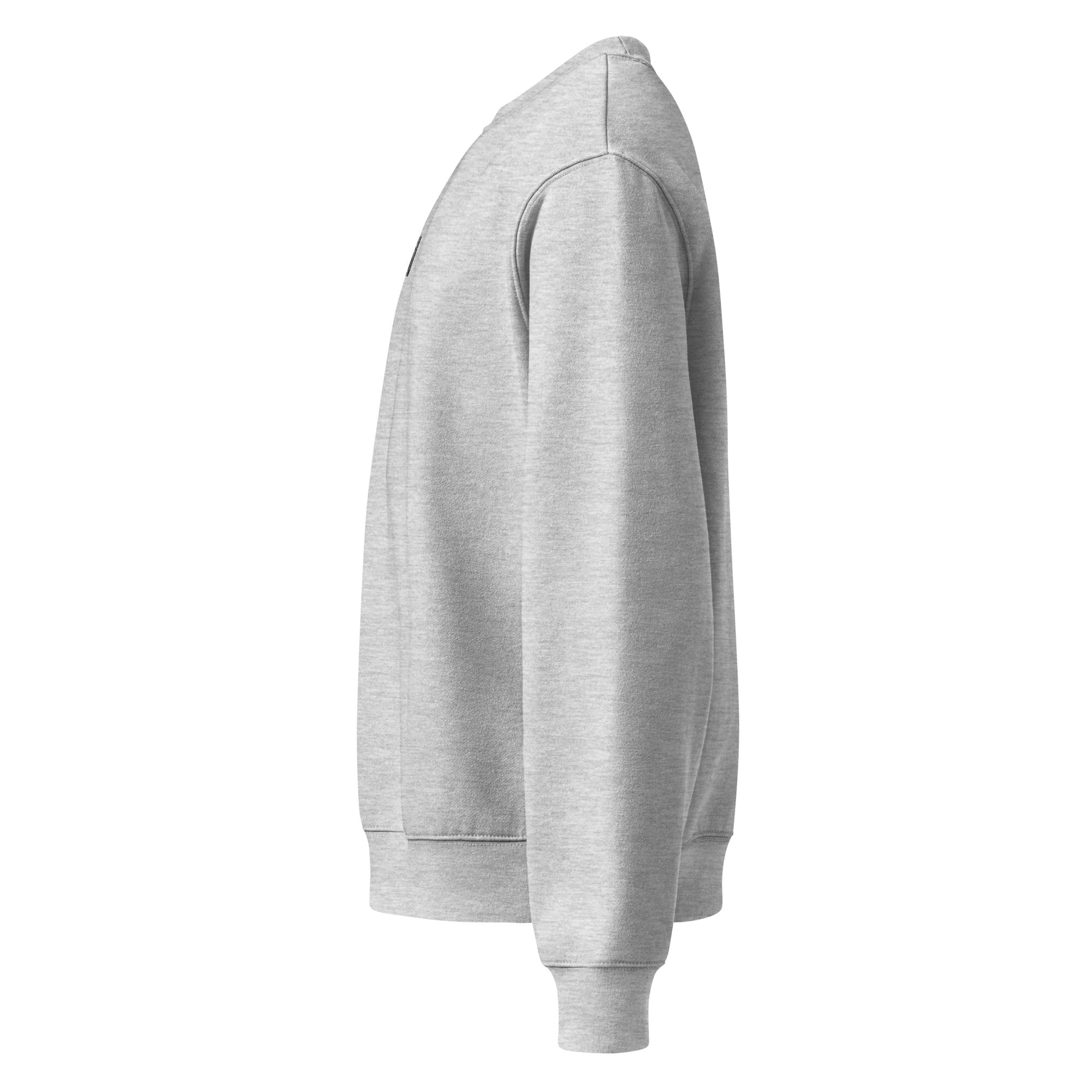 RILEY RU Embroidered Oversized Heavyweight Sweatshirt