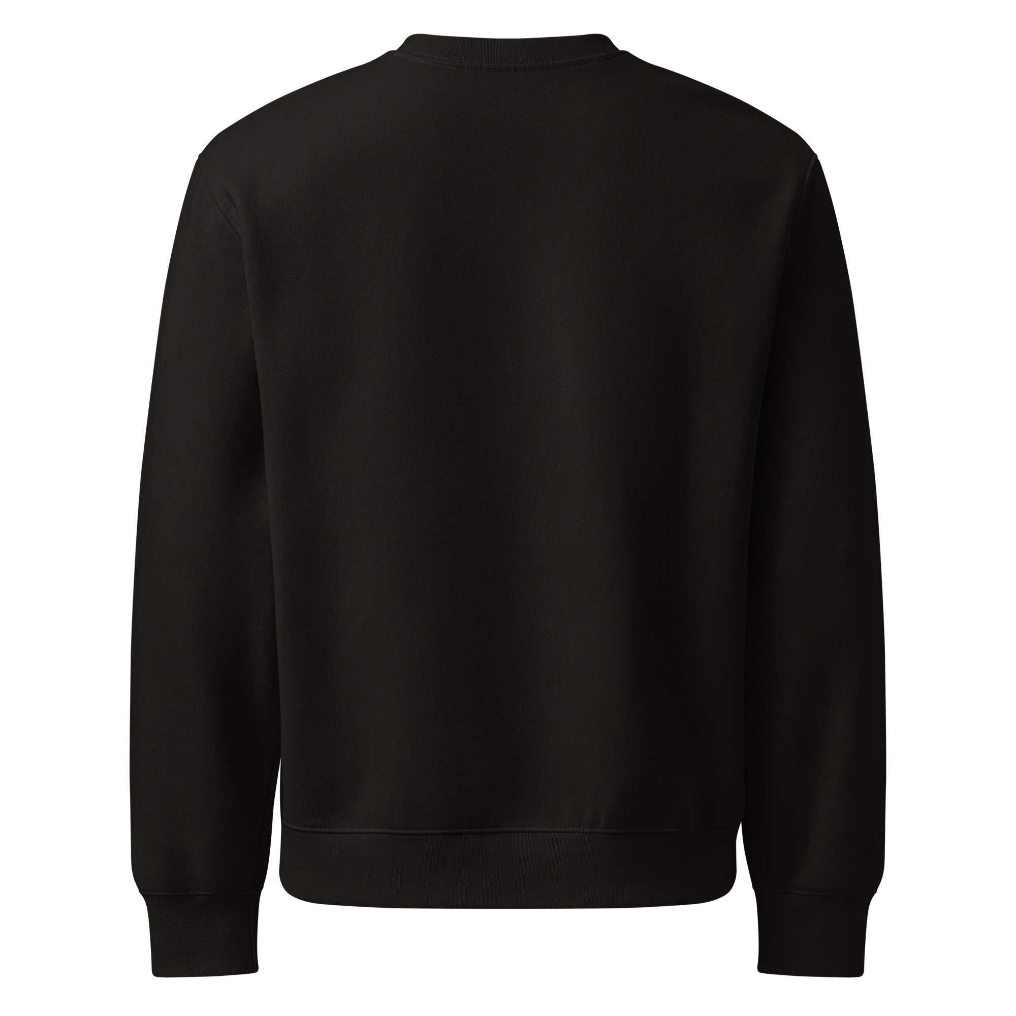RILEY RU Embroidered Oversized Heavyweight Sweatshirt