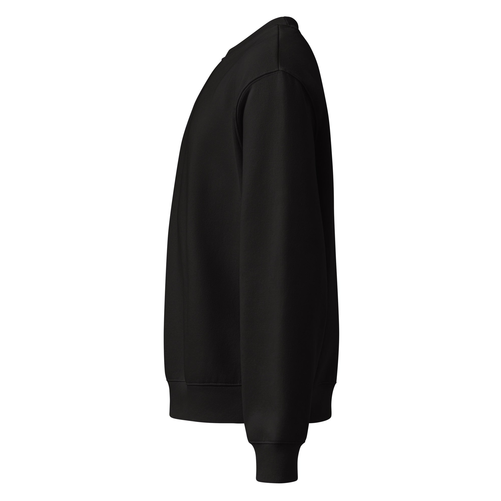 RILEY RU Embroidered Oversized Heavyweight Sweatshirt