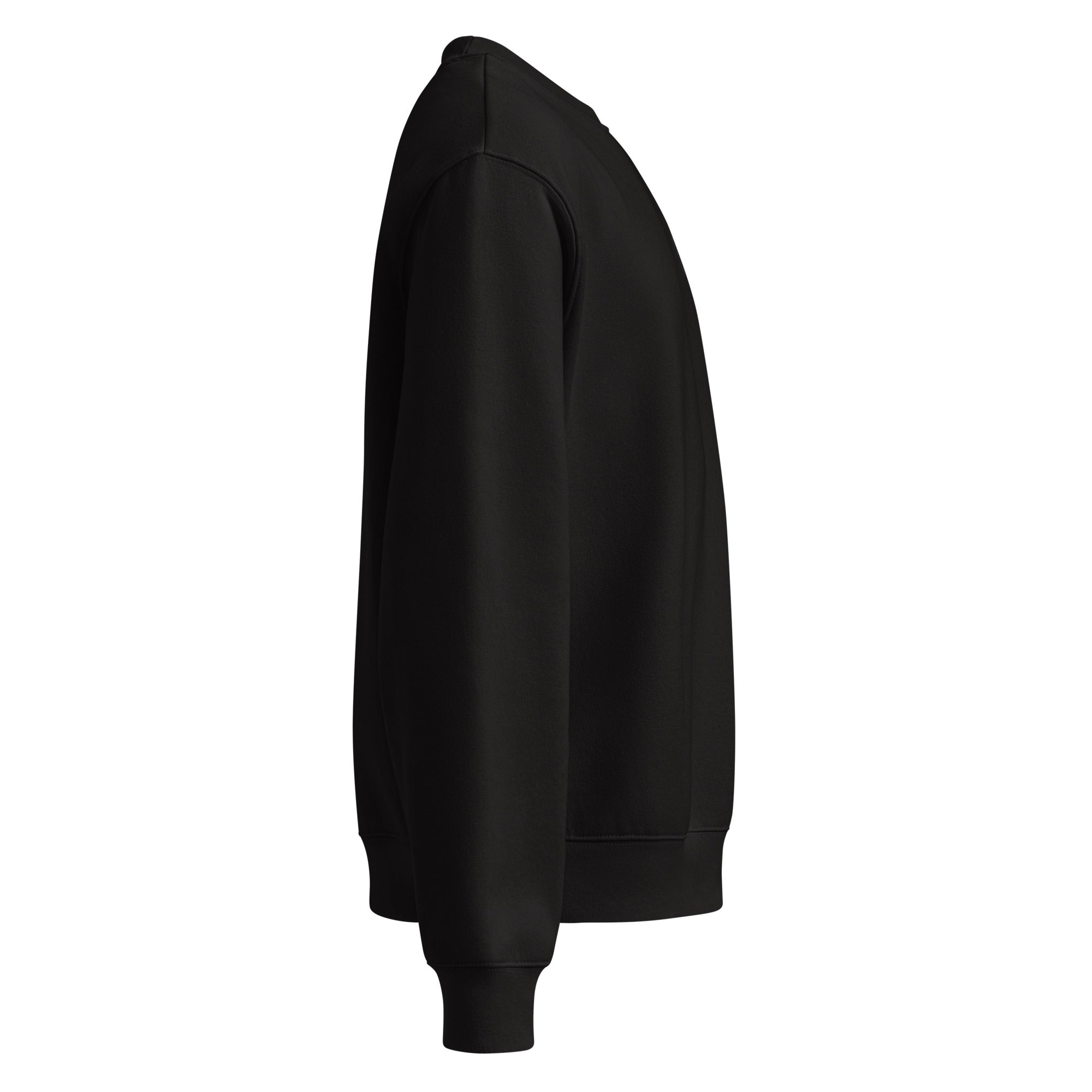 RILEY RU Embroidered Oversized Heavyweight Sweatshirt