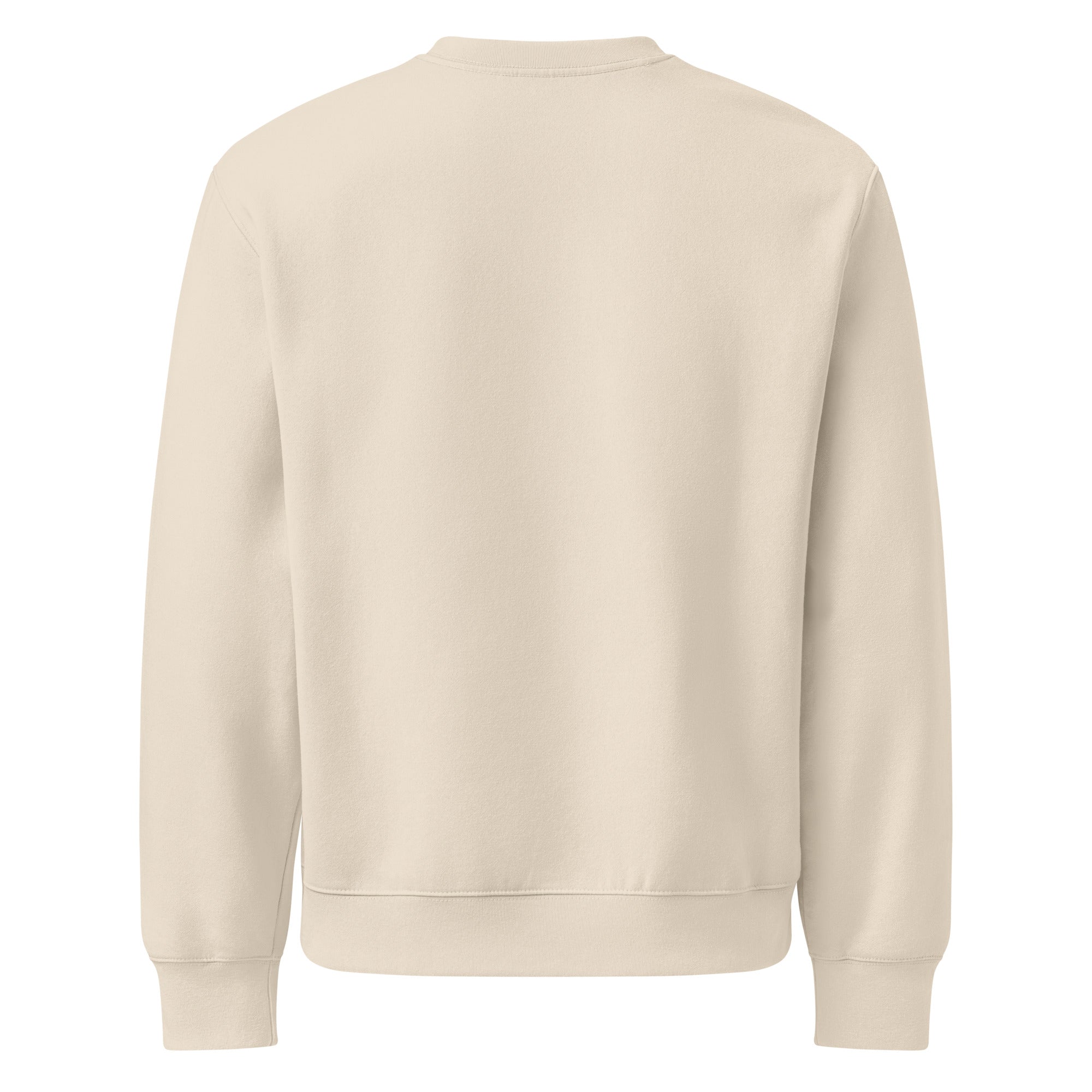 RILEY RU Embroidered Oversized Heavyweight Sweatshirt