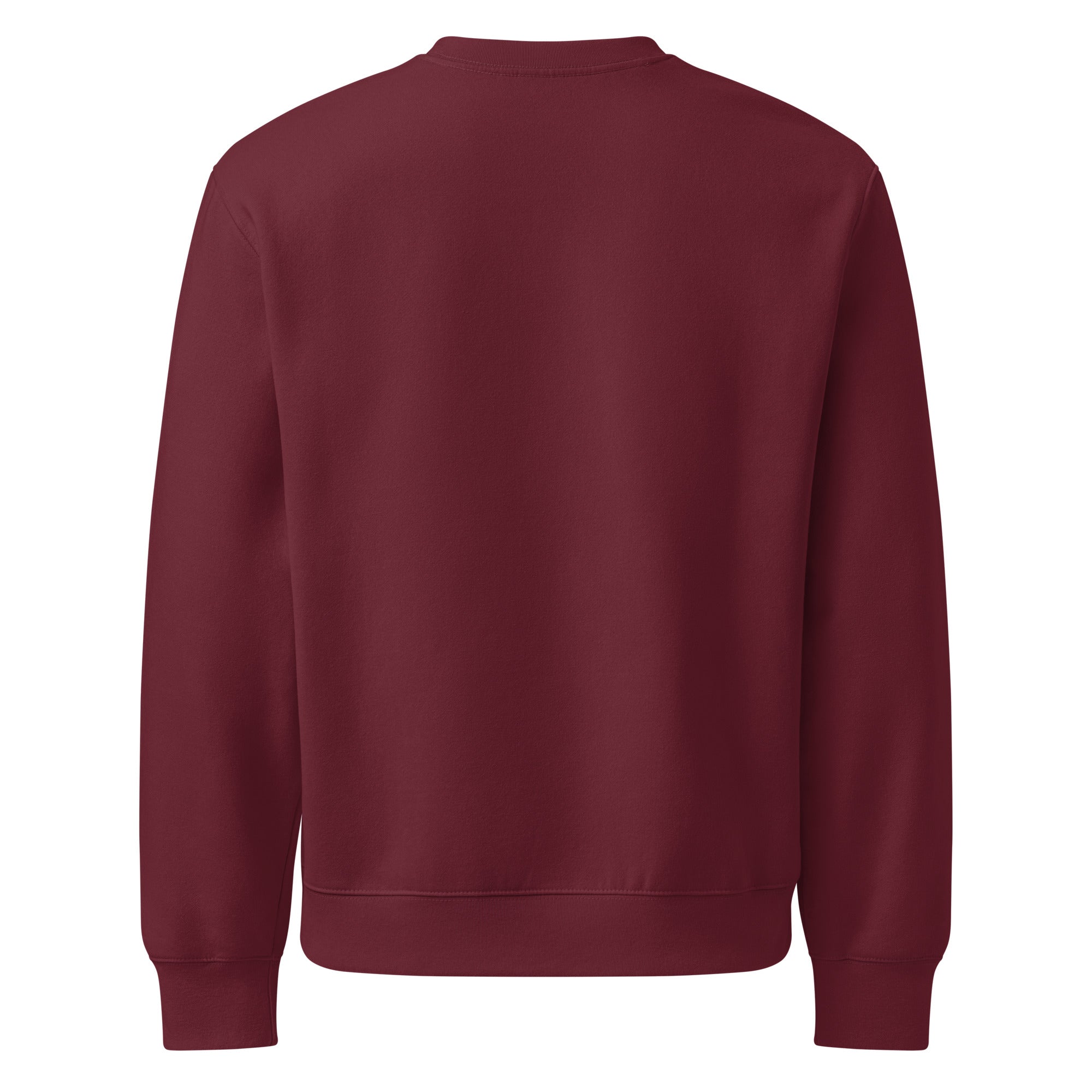 RILEY RU Embroidered Oversized Heavyweight Sweatshirt
