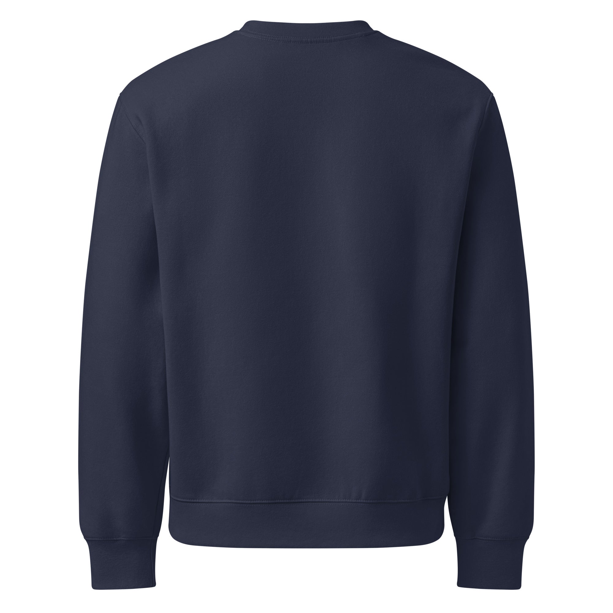 RILEY RU Embroidered Oversized Heavyweight Sweatshirt