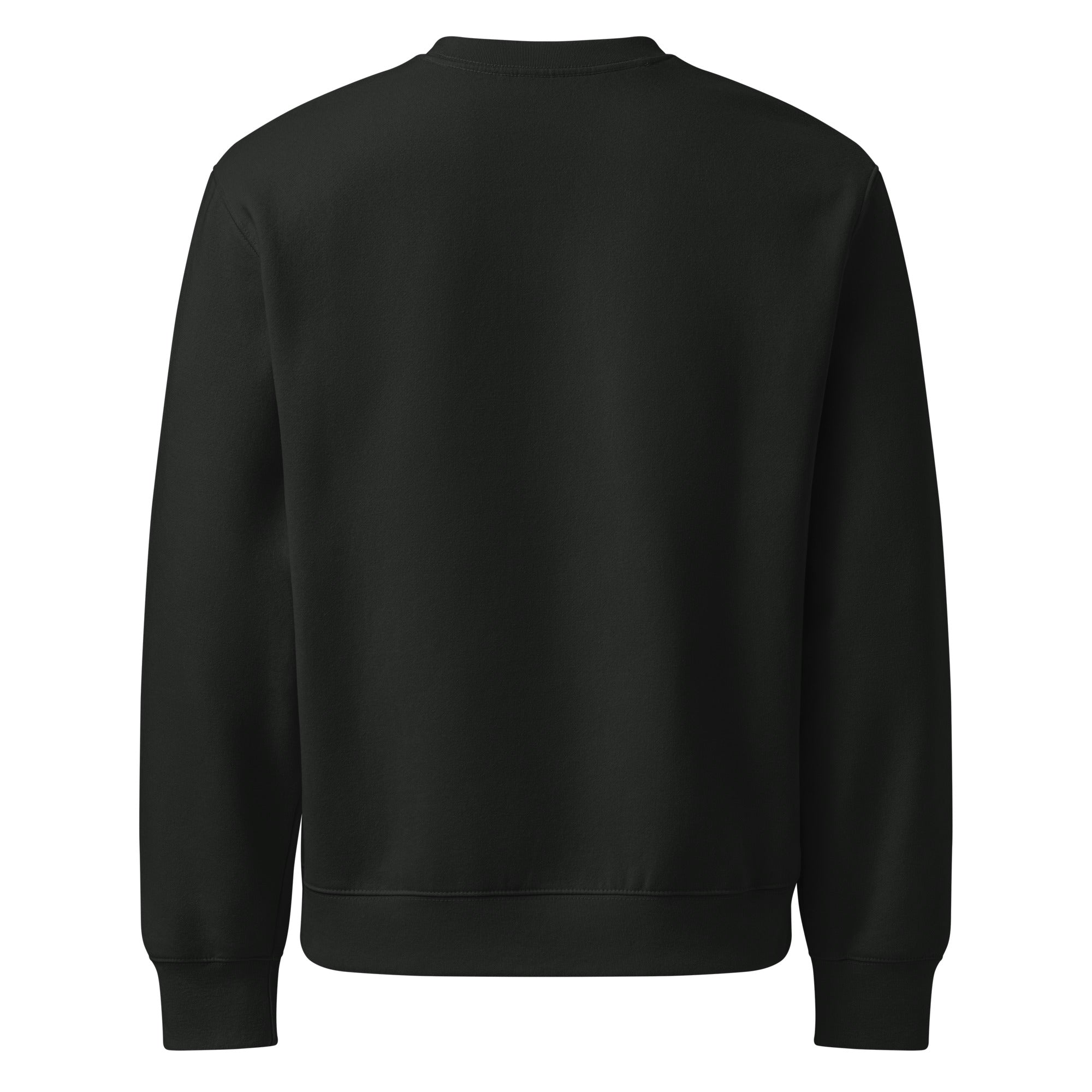 RILEY RU Embroidered Oversized Heavyweight Sweatshirt
