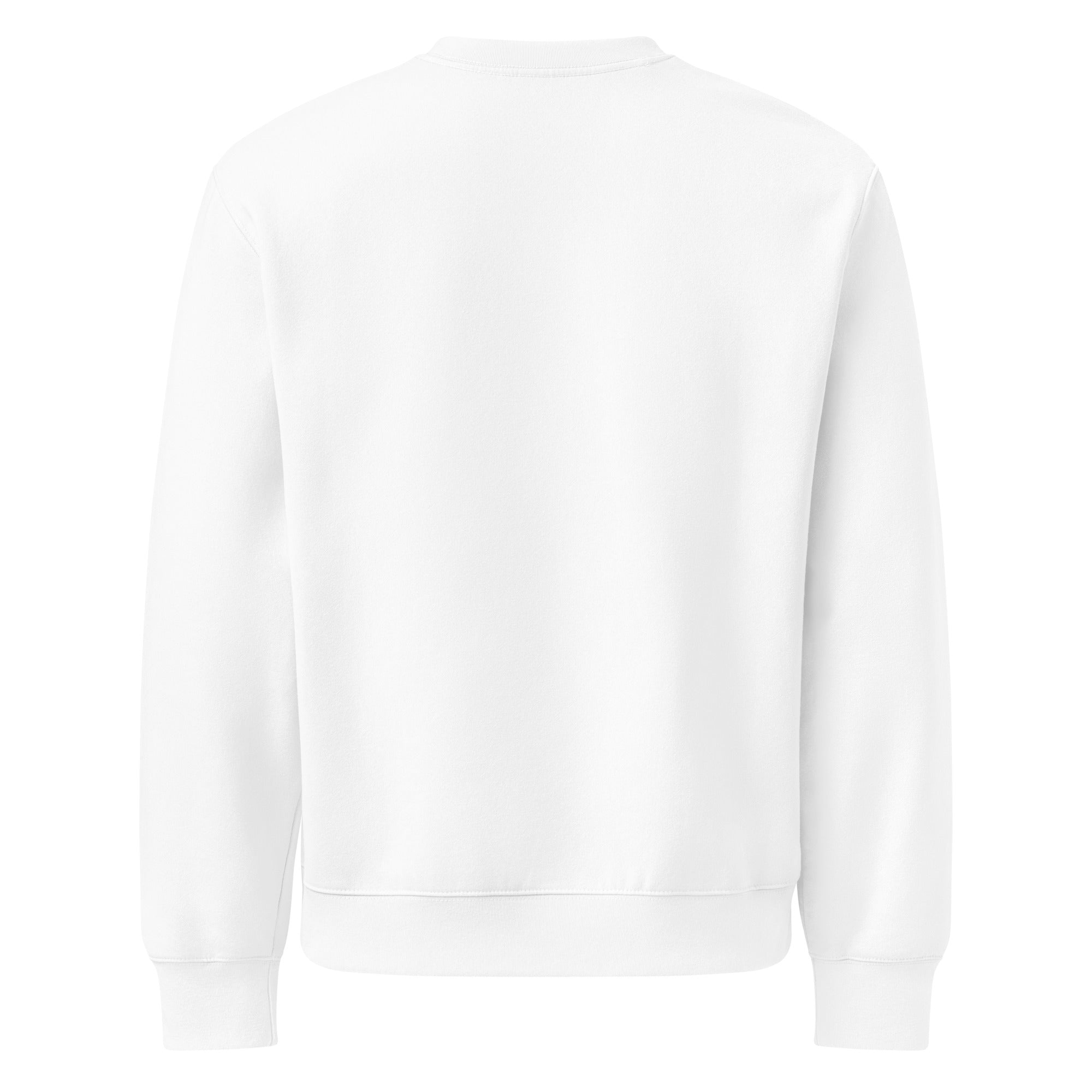 RILEY RU Embroidered Oversized Heavyweight Sweatshirt